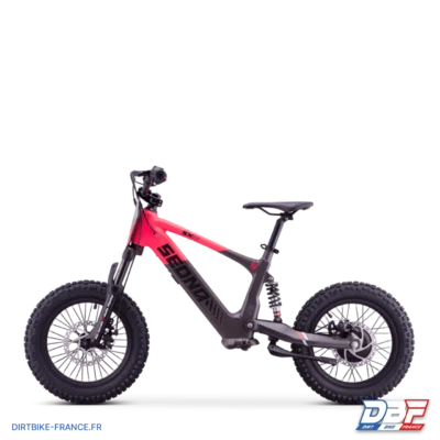 Draisienne électrique sedna sx 16" Rose, photo 5 sur Dirt Bike France