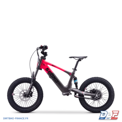 Draisienne électrique sedna sx 18" Rose, photo 5 sur Dirt Bike France