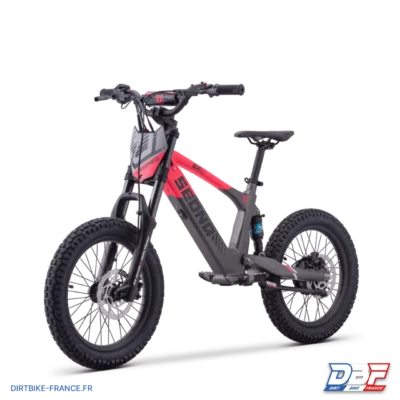 Draisienne électrique sedna sx 18" Rose, photo 6 sur Dirt Bike France