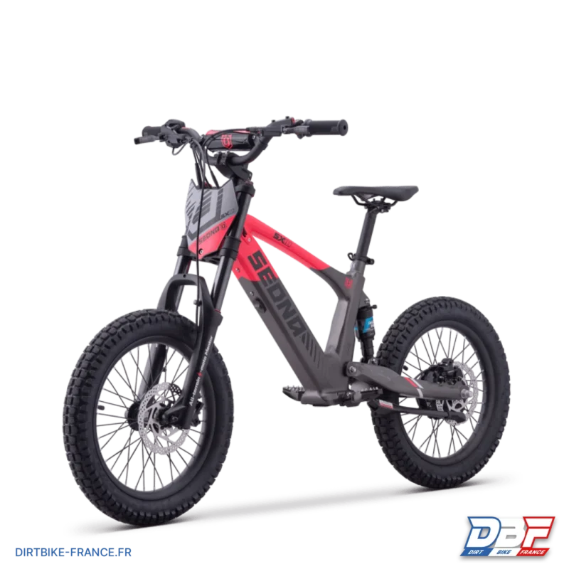 Draisienne électrique sedna sx 18″ Rose, Dirt Bike France - Photo N°6