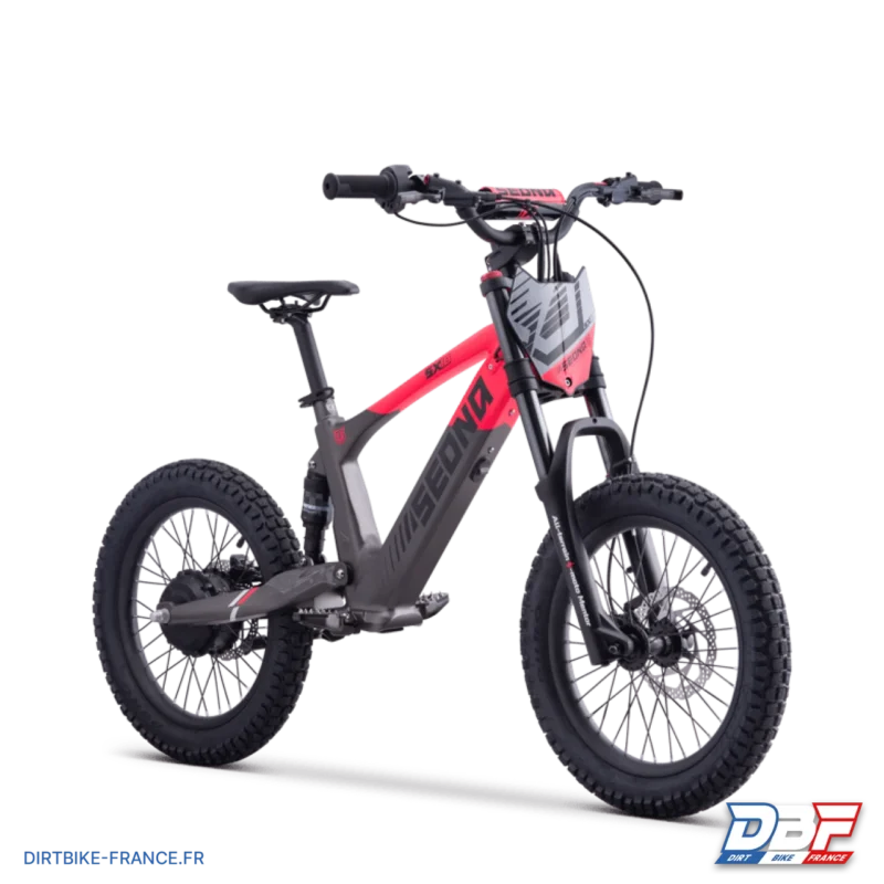 Draisienne électrique sedna sx 18″ Rose, Dirt Bike France - Photo N°7