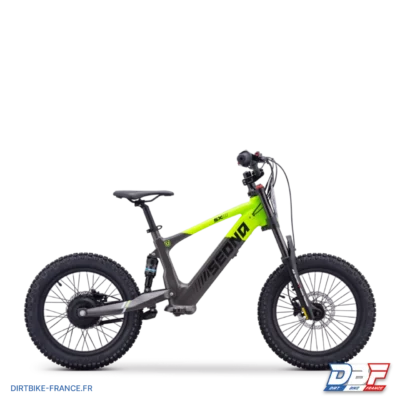 Draisienne électrique sedna sx 18" Vert, photo 1 sur Dirt Bike France