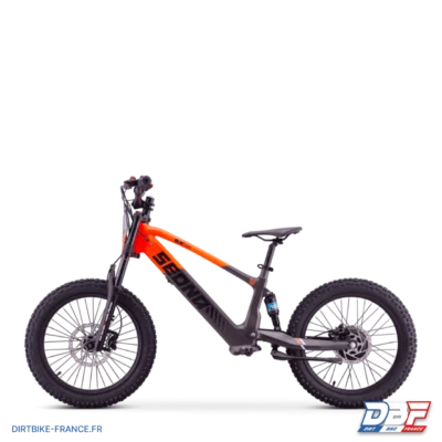 Draisienne électrique sedna sx 20" Orange, photo 5 sur Dirt Bike France