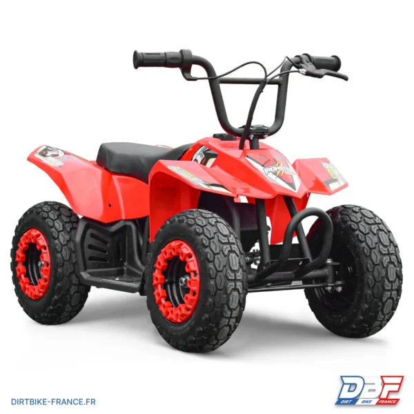 Mini pocket quad enfant électrique 250W MONSTER QUAD (1 PAIRE DE GANT OFFERTE), photo 1 sur Dirt Bike France