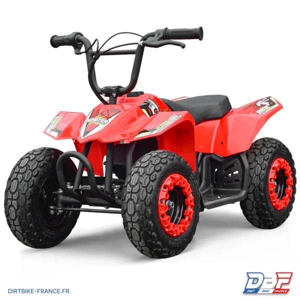 Mini pocket quad enfant électrique 250W MONSTER QUAD (1 PAIRE DE GANT OFFERTE), photo 2 sur Dirt Bike France