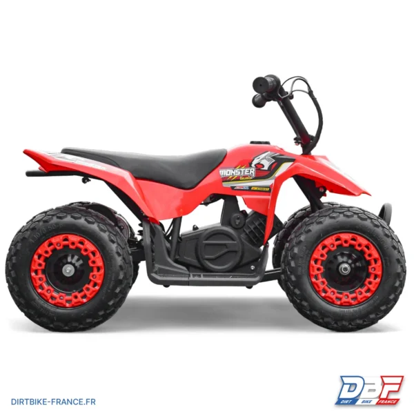 Mini pocket quad enfant électrique 250W MONSTER QUAD (1 PAIRE DE GANT OFFERTE), photo 3 sur Dirt Bike France