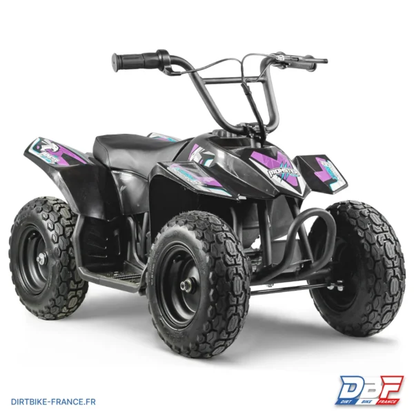 Mini pocket quad enfant électrique 250W MONSTER QUAD (1 PAIRE DE GANT OFFERTE), photo 9 sur Dirt Bike France