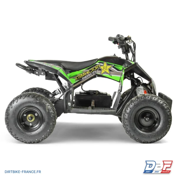 Quad électrique 1300W DYNOSTAR, photo 3 sur Dirt Bike France